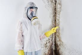 Why You Should Choose Our Mold Remediation Services in Three Way, TN